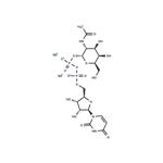 UDP-GalNAc disodium