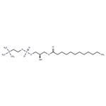 LysoFos Choline 12
