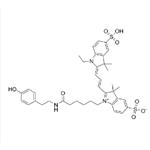 Cyanine 3 Tyramide pictures