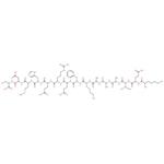 S Tag Peptide