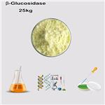 β-Glucosidase