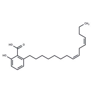 Anacardic Acid Diene