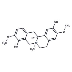Cyclanoline (free base)