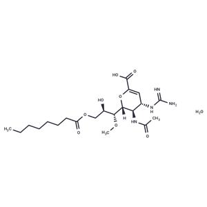 Laninamivir Octanoate Monohydrate