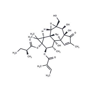 Tigilanol tiglate