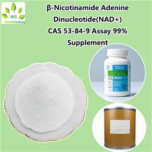 β-Nicotinamide Adenine Dinucleotide(NAD+)