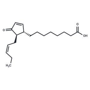 13-epi-12-oxo Phytodienoic Acid