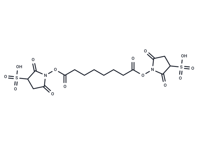 BS3 Crosslinker