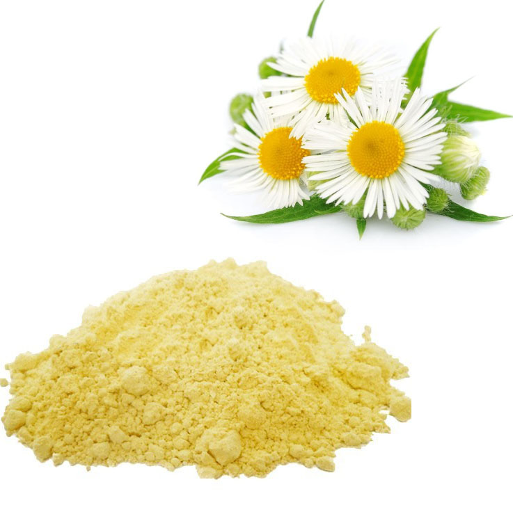 chamonile extract apigenin
