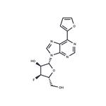 6-(Furan-2-yl)purine-beta-D-(3'-deoxy-3'-fluoro)riboside