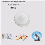 Tenofovir disoproxil fumarate