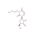 2'-Deoxy-2'-fluoro-N3-(3-aminopropyl)uridine