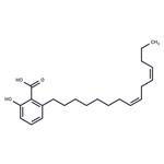 Anacardic Acid Diene