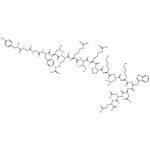 Dynorphin A