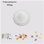 Tobramycin Base