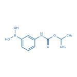 (3-((Isopropoxycarbonyl)amino)phenyl)boronic acid