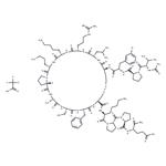 YAP-TEAD-IN-1 TFA