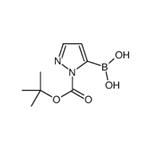 1-(tert-Butoxycarbonyl)-1H-pyrazol-5-ylboronic acid