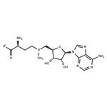 29908-03-0 S-Adenosyl-L-methionine