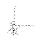 4alpha-PDD