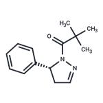 GSK962