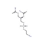 Phosphatidylethanolamine