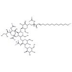 Ganglioside GM1 Mixture (ovine) (ammonium salt)