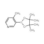 4-methyl-3-(4,4,5,5-tetramethyl-1,3,2-dioxaborolan-2-yl)pyridine