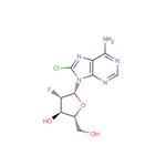 8-Chloro-2'-deoxy-2'-fluoro-arabino ? adenosine
