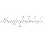 Dynorphin A (1-13)