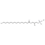 1-Palmitoyl Lysophosphatidic Acid (sodium salt)