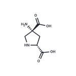 (2R,4R)-APDC