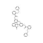 WSP-5
