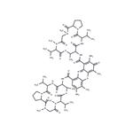 7-Aminoactinomycin D