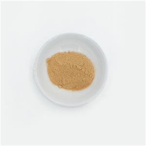 2-Chloro-3,5-dibromo-4-methylpyridine