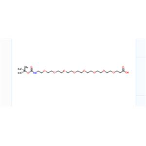 Boc-NH-PEG8-CH2CH2COOH