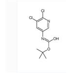 TERT-BUTYL 5,6-DICHLOROPYRIDIN-3-YLCARBAMATE
