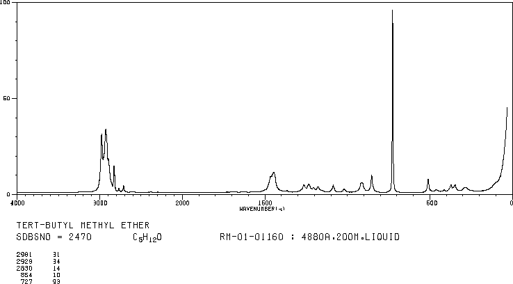 tert-Butyl methyl ether(1634-04-4) IR2