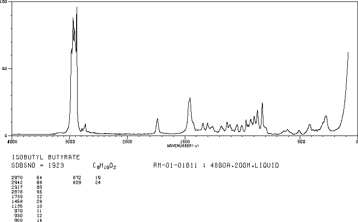 Isobutyl butyrate(539-90-2) IR2