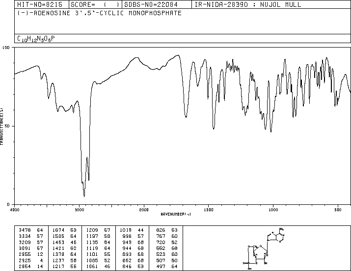 Cyclic AMP(60-92-4) MS
