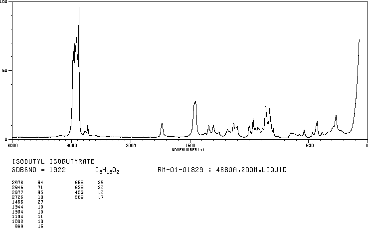 Isobutyl isobutyrate(97-85-8) <sup>13</sup>C NMR