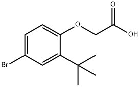 2-[4-BROMO-2-(TERT-BUTYL)PHENOXY]????
