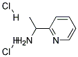 1-PYRIDIN-2-YL-ETHYLAMINE DIHYDROCHLORIDE|