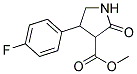 3-METHOXYCARBONYL-4-(4`-FLUOROPHENYL)-2-PYRROLIDINONE Struktur