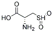 L-CYSTEINE-SULFONE
