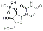 Uridine-2'-Phosphoric Acid