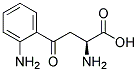 Kynruenic acid Structure