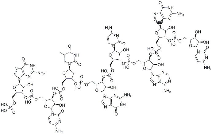 GCTGCAGC, 5'-PHOSPHORYLATED