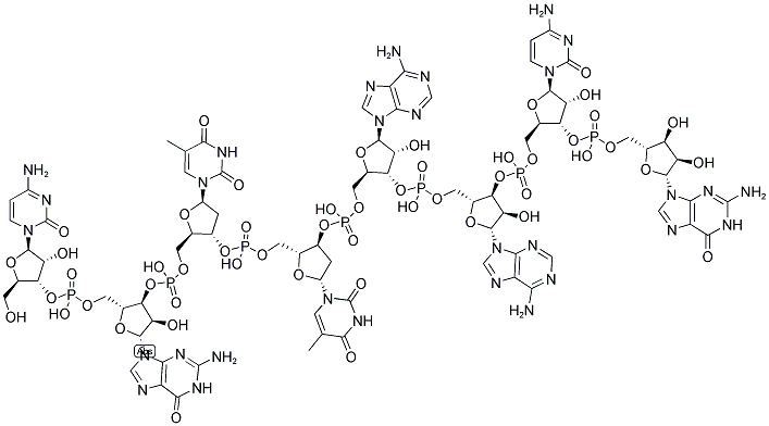 CGTTAACG, 5'-NON-PHOSPHORYLATED Structure