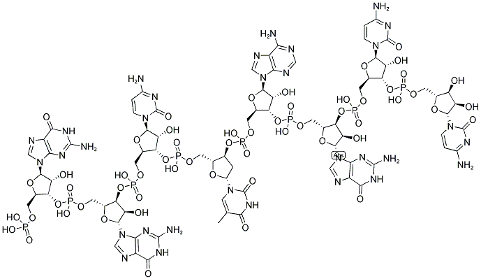 GGCTAGCC, 5'-PHOSPHORYLATED